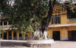 coll-banian.jpg (86545 octets)